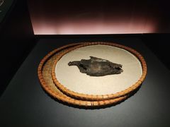 -湖北省博物馆