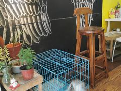 -志龙皇冠吃货椰子铺