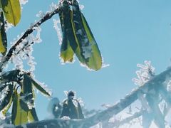 -瓦屋山景区