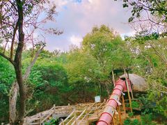 -北京西山国家森林公园