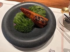 -觀芷隐轩