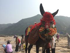 -陕西黄河壶口瀑布旅游区
