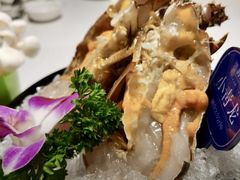 -海月轩海鲜豆捞(紫金塔店)