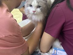 -美联众合动物医院·24h转诊中心