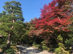 -常寂光寺