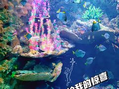 -海合安青岛极地海洋公园