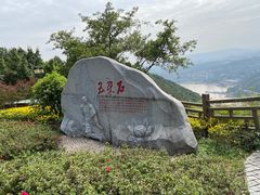 -铁山坪森林公园