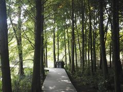 -溱湖国家湿地公园