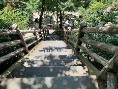 -北京凤凰岭