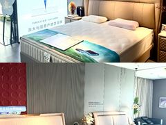 -红星美凯龙(上海沪南店)