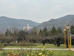-蒙山大佛景区