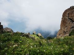 -白草畔自然风景区