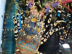 -四川人郑霞海鲜