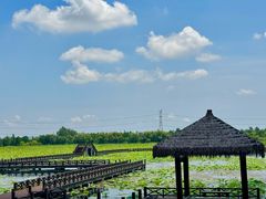 -焦岗湖旅游度假区
