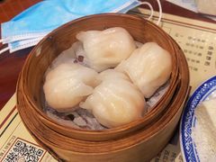 -捷信牛奶甜品世家(五道口店)