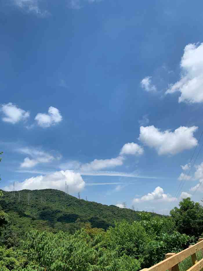 小羊台山游览区-自助售卖机-"天气好出去转转人的心情也好,开心99人