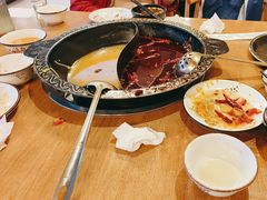 -小志家.鲜牦牛肉牛杂火锅野生菌汤锅