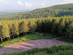 -塞罕坝国家级自然保护区