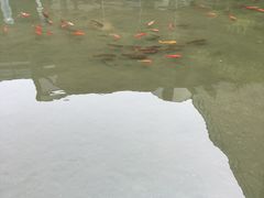 -燕莎友谊商城(亮马桥店)