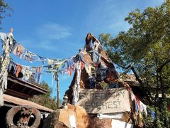 -奥兰多迪士尼动物王国乐园