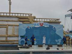 -秦皇岛乐岛海洋王国