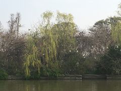 -东湖景区
