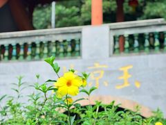 -广州神农草堂中医药博物馆