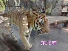 -南昌动物园