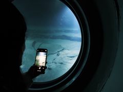 -白鹤梁水下博物馆