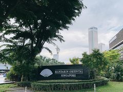 -新加坡文华东方酒店