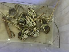 -蟹状元大闸蟹·年货·粽子(成都成华店)