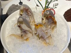 小象鼻蚌-围炉夜话·潮汕卤水火锅(榕江店)