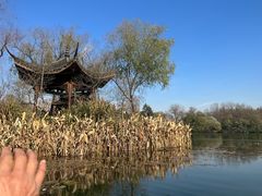 -西湖游船