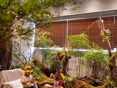 -森SPA·泰式按摩·精油Massage(宝安中心店)