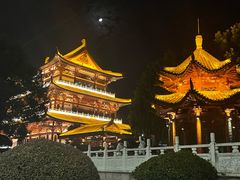 -杜甫江阁