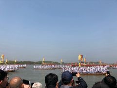 -溱湖国家湿地公园