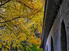 -灵谷景区