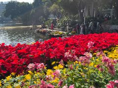-荔湾湖公园