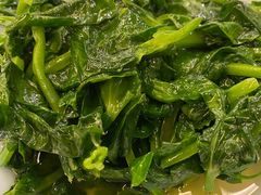 清炒豌豆尖-贵州大厦贵州厅(樱花园西街店)