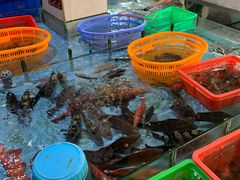 -隆都四季香饭店(碧海路店)