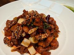 -北京老铺烤鸭(第五国际店)