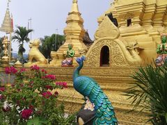 -西双版纳傣族园-曼春满佛寺