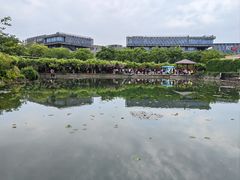-嘉定紫藤园