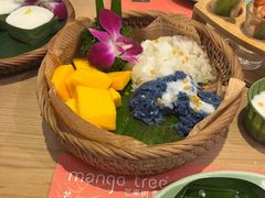 -mango tree芒果树泰国餐厅(青岛万象城店)