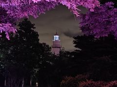 -悦海公园