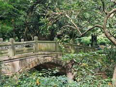 -杭州上天竺法喜讲寺