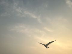 -星海广场