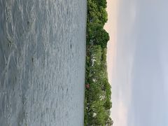 -西湖外事游船(花港观鱼码头)