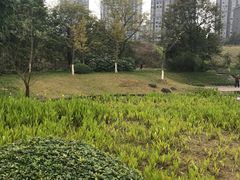 -重庆彩云湖湿地公园