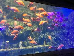 -南昌融创海世界